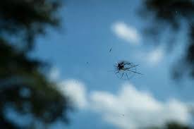 Réparer un impact  sur son pare-brise dans un garage  proche de Freneuse